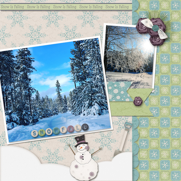 Snowfall