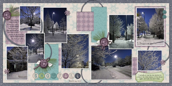 Snowfall