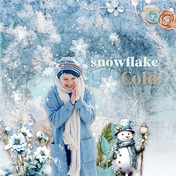 Snowflake Moment