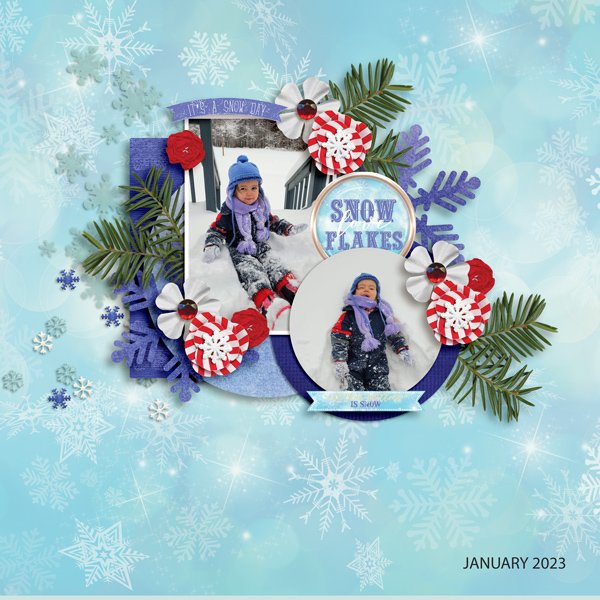 SNOWFLAKES -SURPRISE-1-24