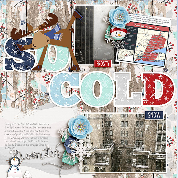snowglobe