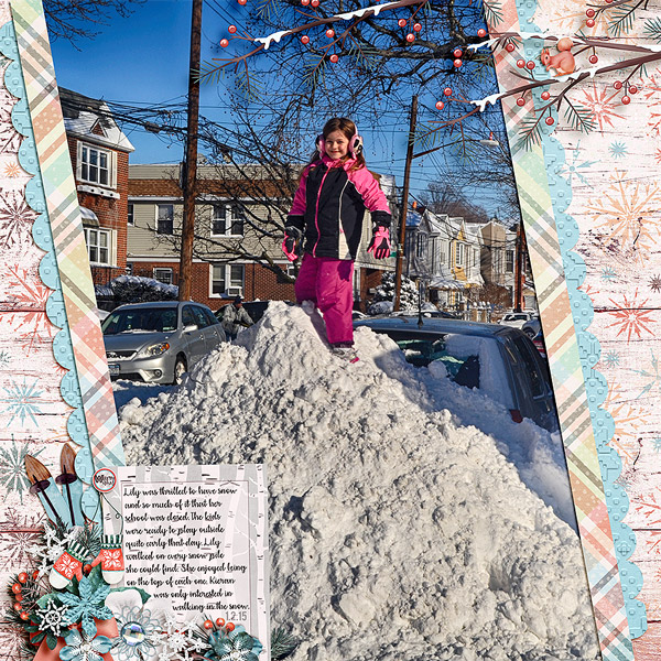 snowjan20151