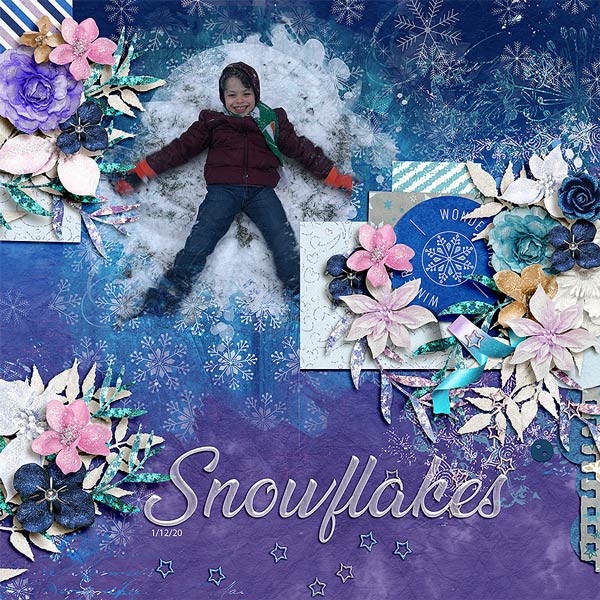 snowjan2020