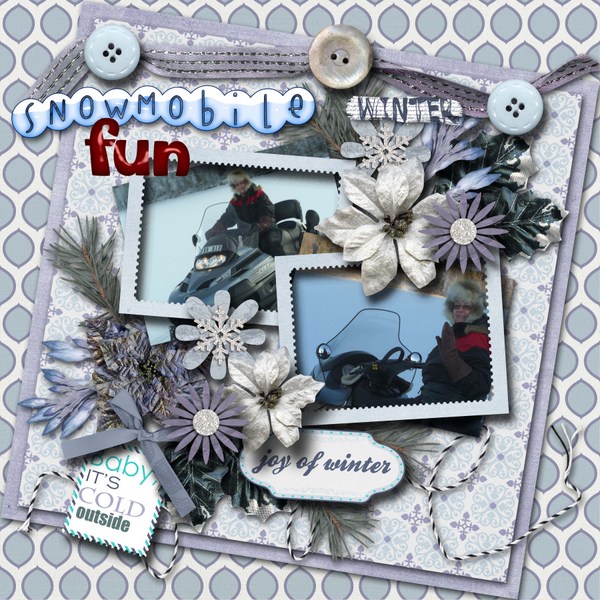 Snowmobile_fun