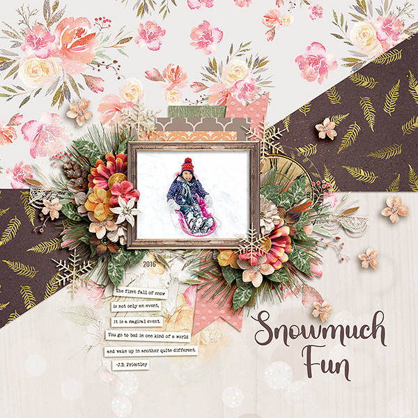 Snowmuch Fun