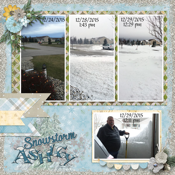 Snowstorm Ashley Left