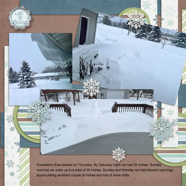 Snowstorm Elsa R.jpg