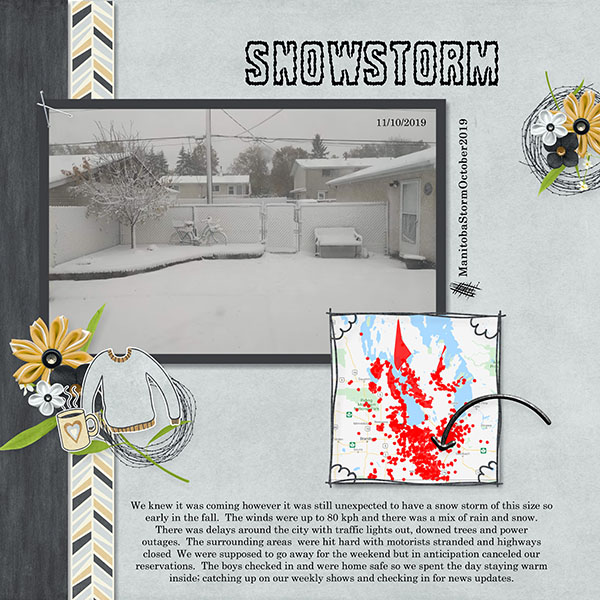 Snowstorm