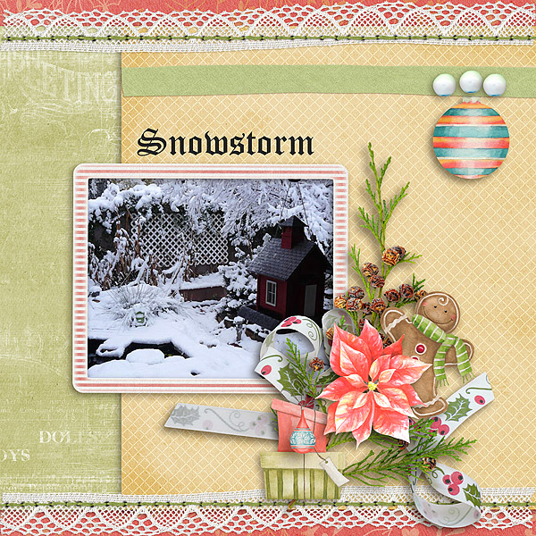 Snowstorm
