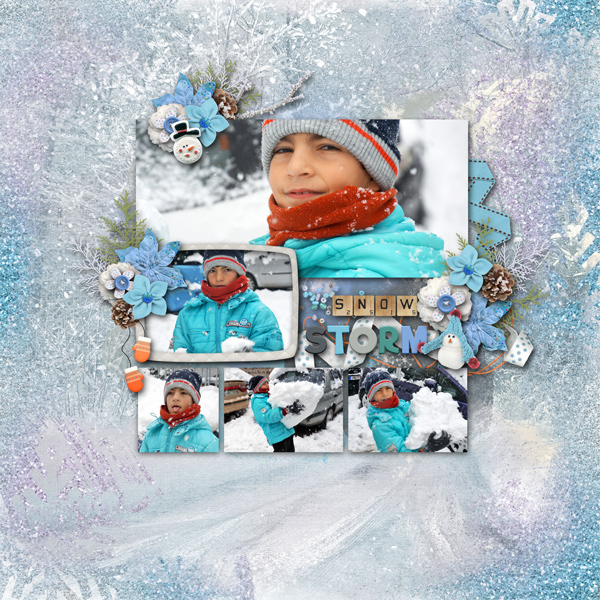 snowstorm