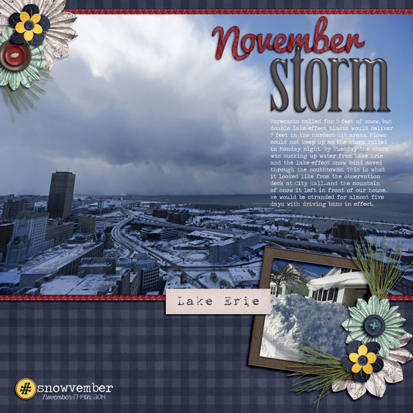 Snowvember Storm