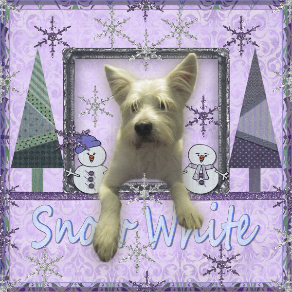 SnowWhite Sara
