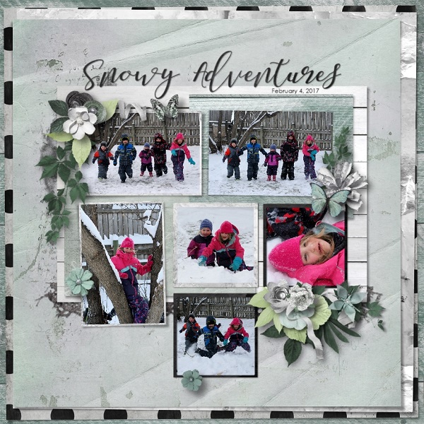 Snowy Adventures