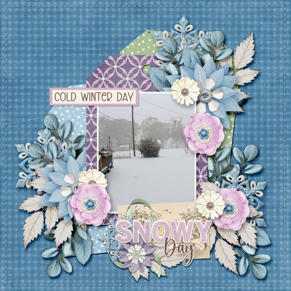 Snowy-Day-600.jpg