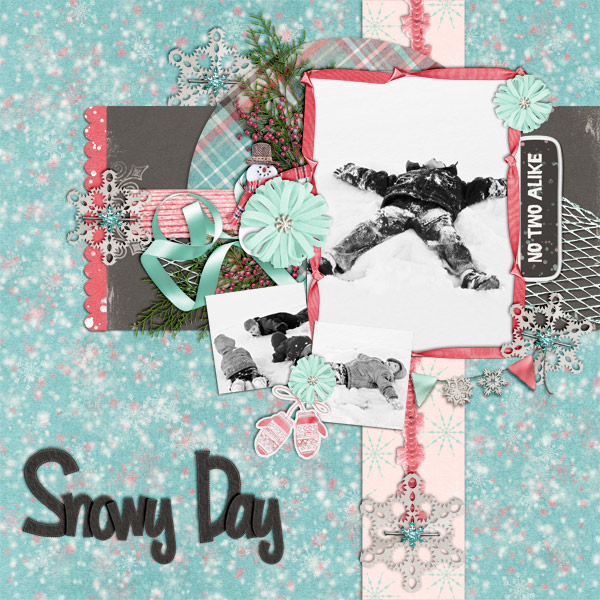 Snowy Day