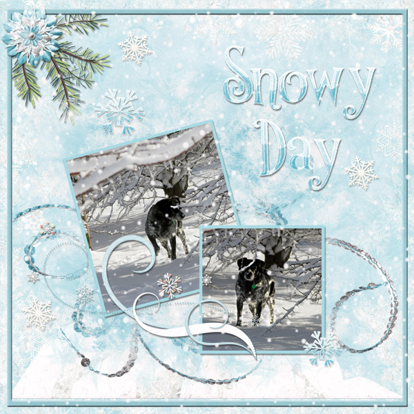 Snowy Day