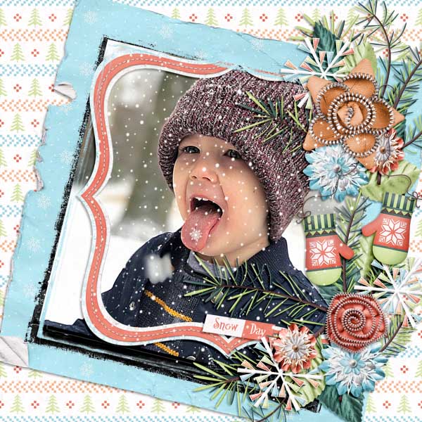 Snowy Day