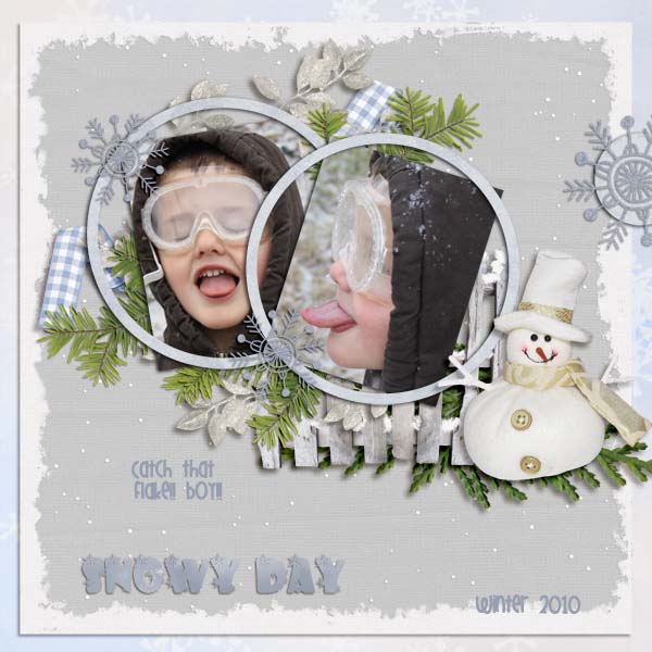 Snowy Day