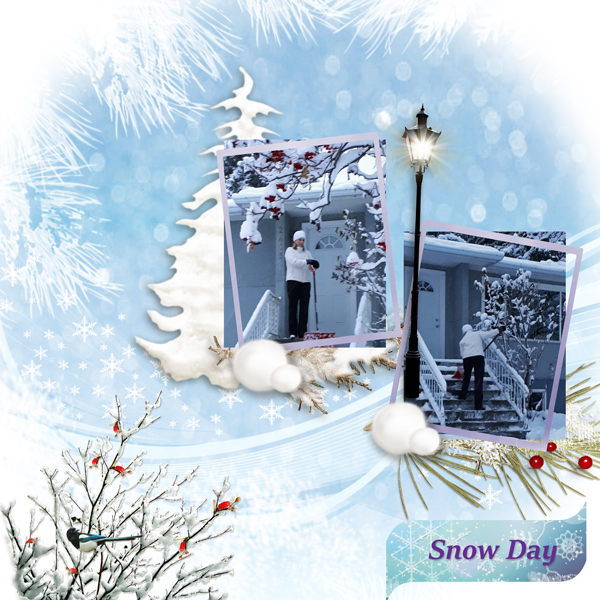 Snowy Day