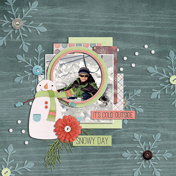 snowy day