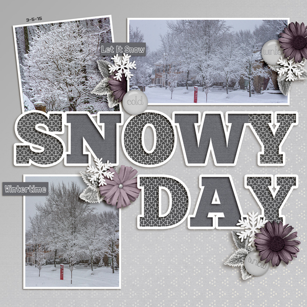Snowy Day