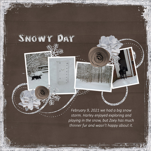 Snowy Day