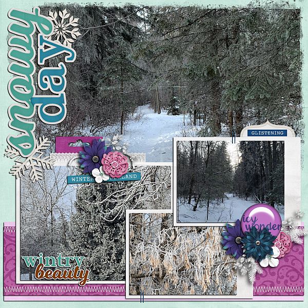 Snowy Day