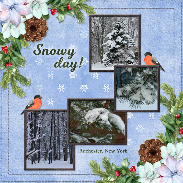 Snowy Day