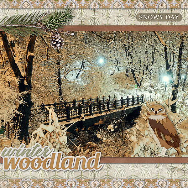 Snowy Day