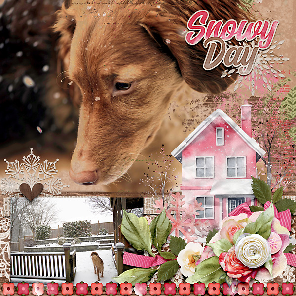 Snowy Day
