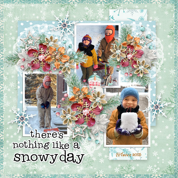 Snowy Day
