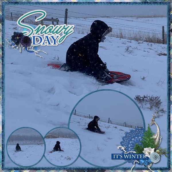 Snowy Day