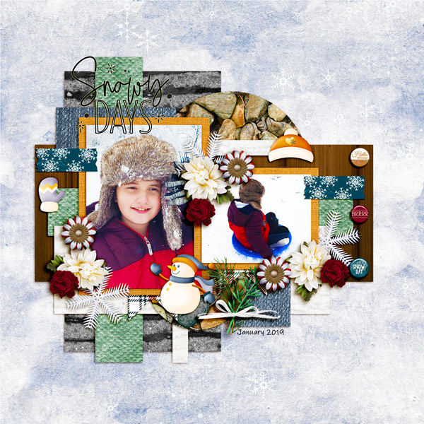 Snowy Days - January 2019