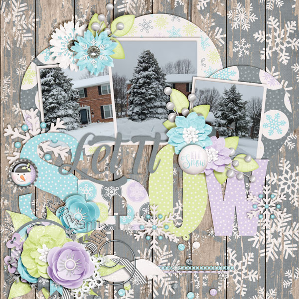 Snowy-Days