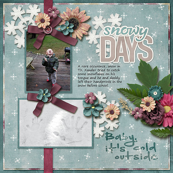 Snowy Days