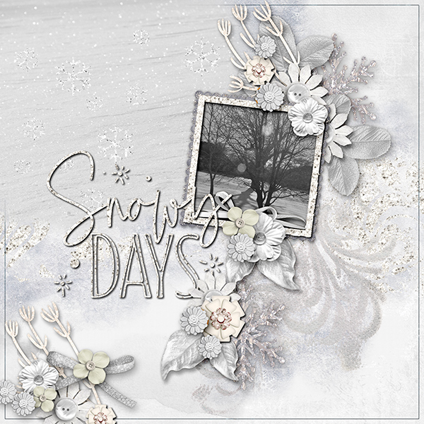 Snowy Days