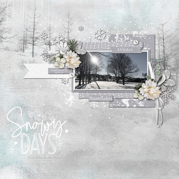 Snowy Days
