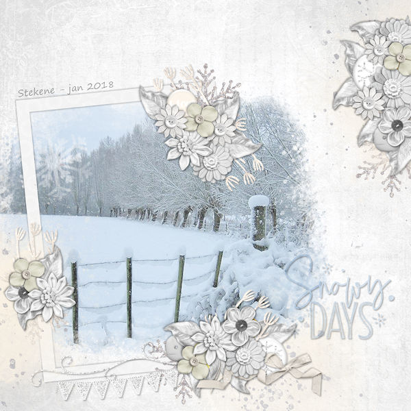Snowy Days
