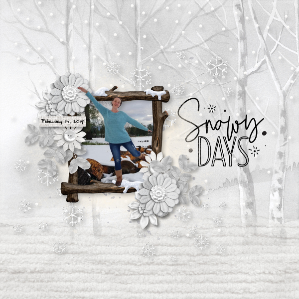Snowy Days