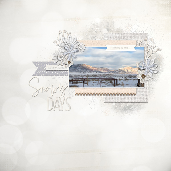 Snowy Days