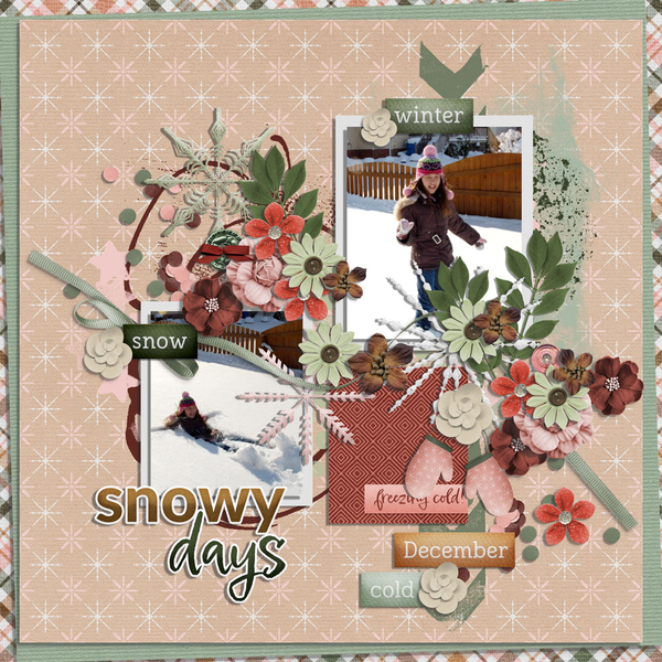 snowy days