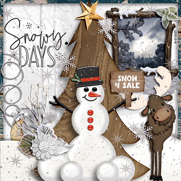 Snowy days