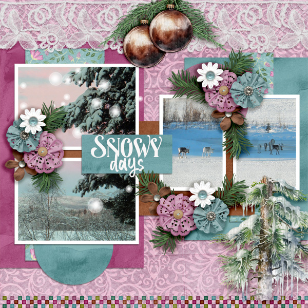 Snowy-days1