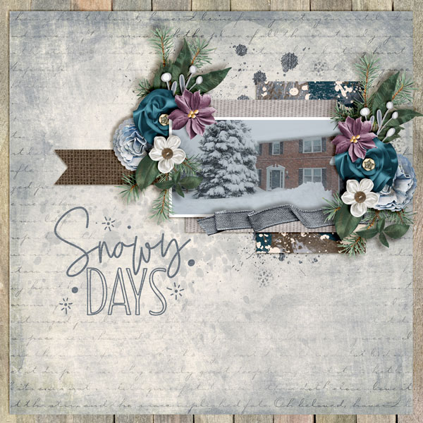 Snowy-Days_