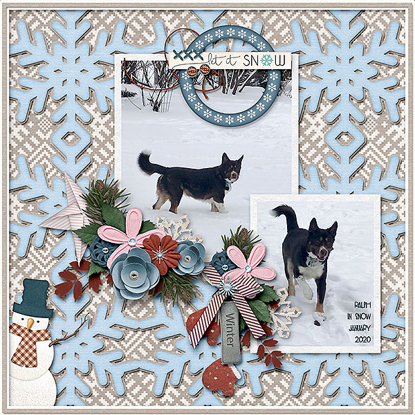 Snowy Dog