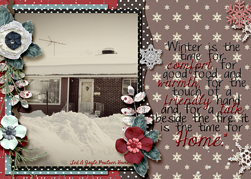 Snowy Home
