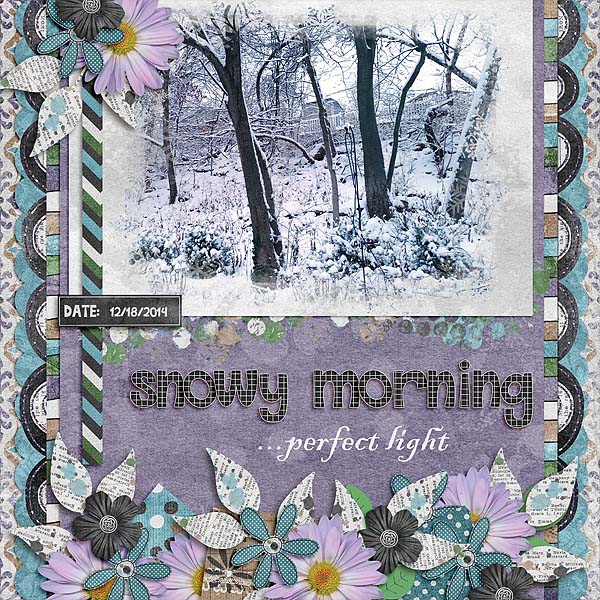 Snowy Morning