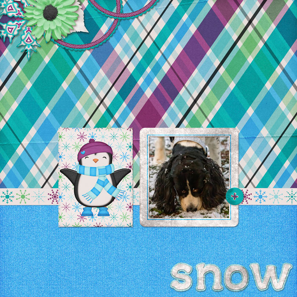 Snowy Morning