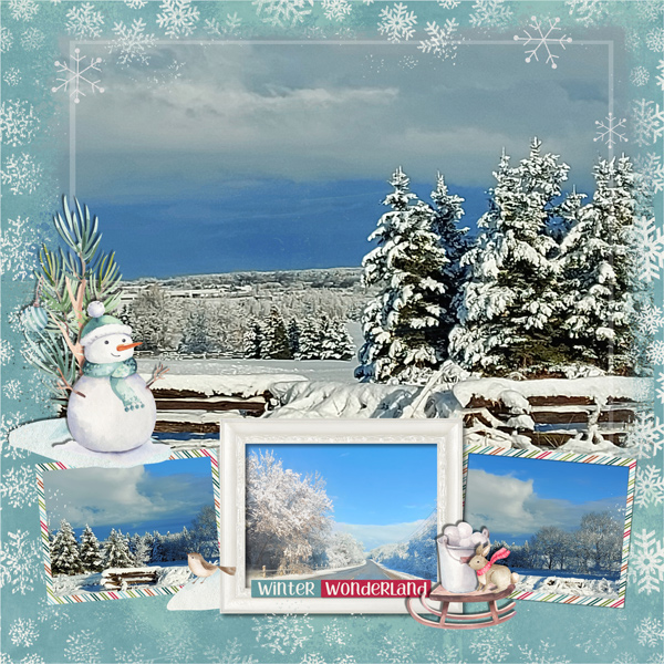 Snowy Morning