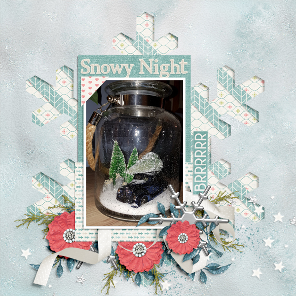 Snowy Night